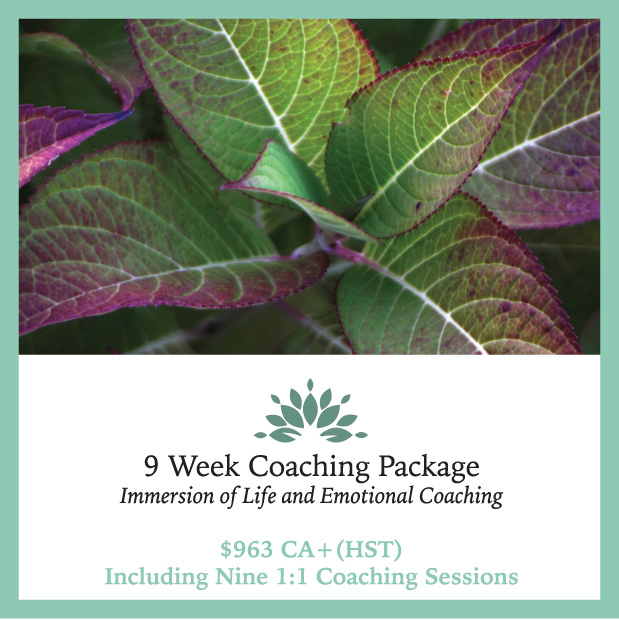 9 Week Coaching Package Immersion of Life and Emotional Coaching